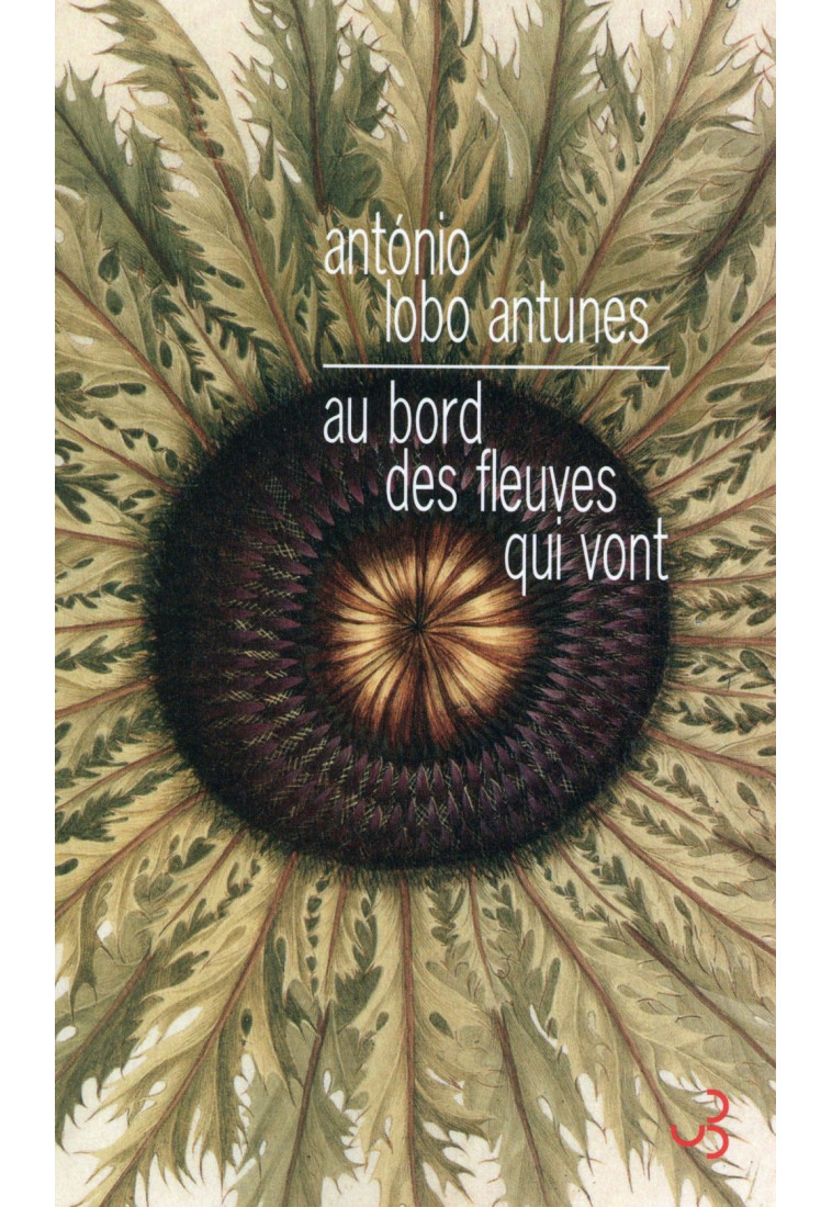 AU BORD DES FLEUVES QUI VONT - ANTUNES ANTONIO LOBO - Bourgois