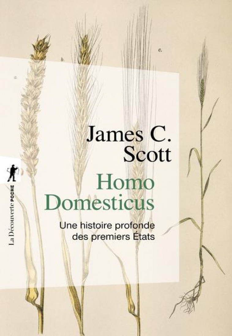 HOMO DOMESTICUS - UNE HISTOIRE PROFONDE DES PREMIERS ETATS - SCOTT/DEMOULE - LA DECOUVERTE