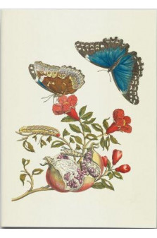 Carnet - papillons - notes et lectures